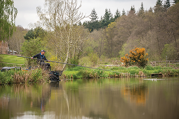 Rod Flash - Midlands Fly Fishing