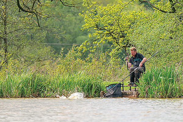 Coarse & Match Fishing :: Poles & Accessories :: Pole Floats :: Preston  Natural Pole Float Kerry