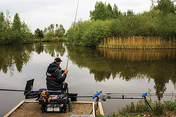 Best Snag Carp Hook - Pole Position