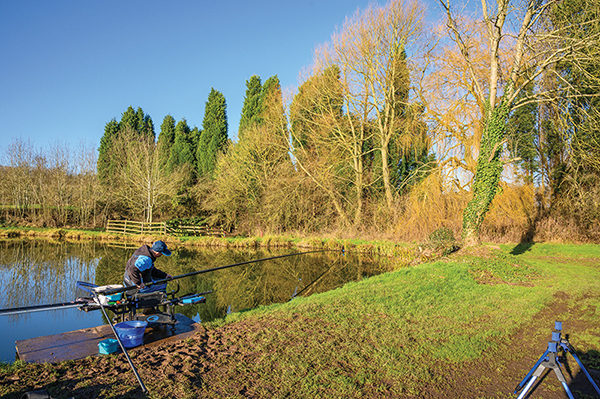 How To Plumb Up When Pole Fishing  Everything You Need To Know! 