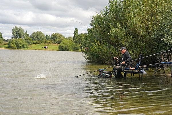 Method feeder the winner for specimen bream