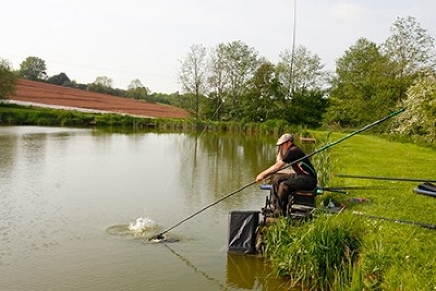 Argumentative essay about abortion picture