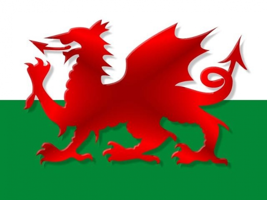 Welsh. Wales Страна флаг. Флаг Уэльса. Флаг валлийцев.