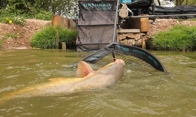 HOW TO CATCH BIG CARP ON THE METHOD FEEDER! (With Warren Martin