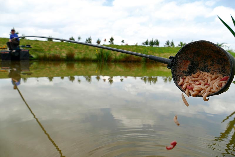 10+ Fishing In The Mud