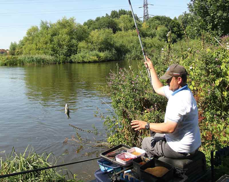 coarse uk scott geens male whip fishing river thames 3