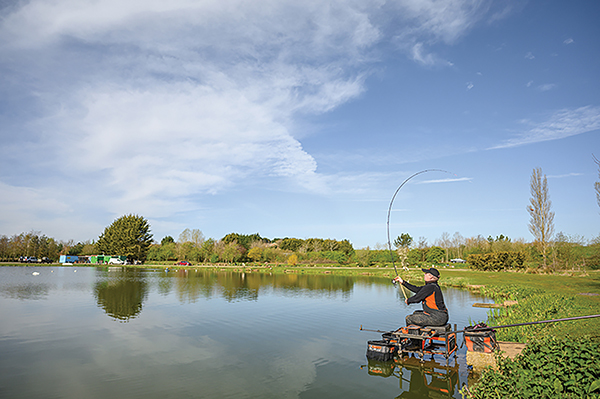 How To Fish The Method Feeder For BIG CARP 