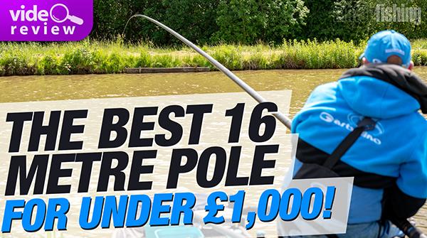 The Best Pole For Under £1,000! (Video)